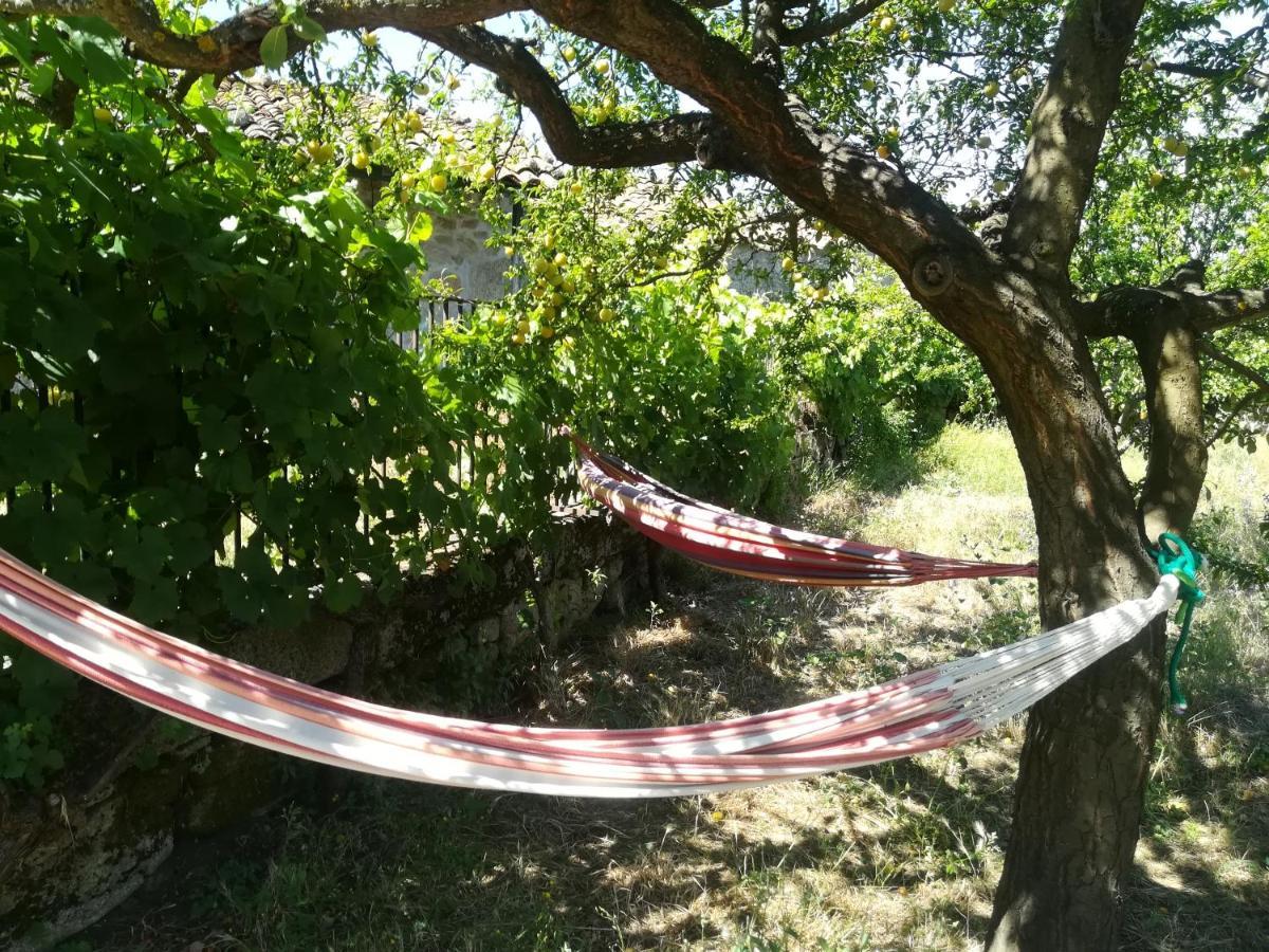 Solar Dos Carvalhos Bed & Breakfast Sernancelhe Bagian luar foto